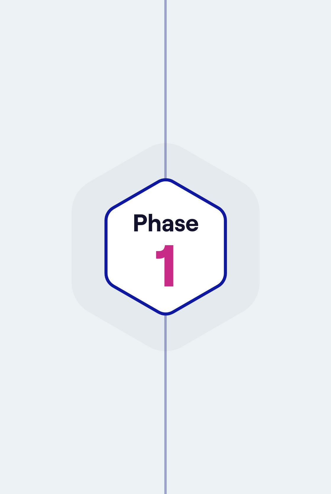 During Phase 1, the PDP was formally established. The team was recruited, architecture was designed and approved, and procurement of the digital architecture began.
