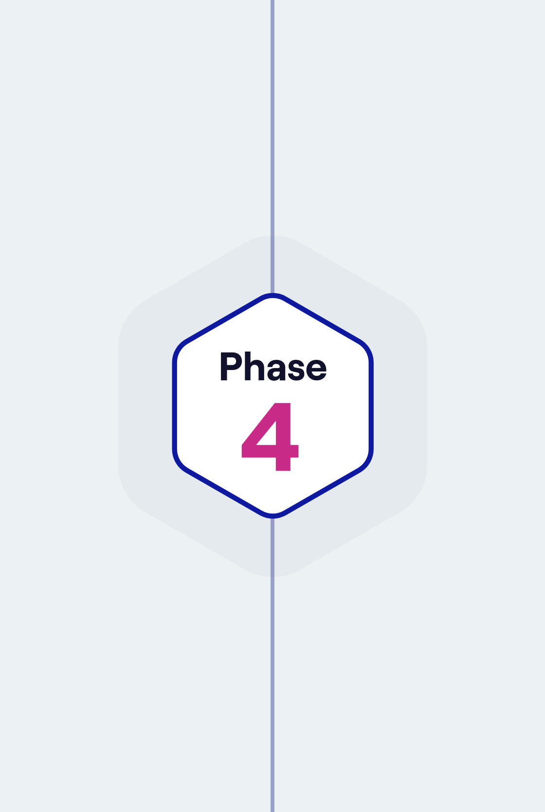 Schemes and providers start connecting to dashboards. The ecosystem reaches the official ‘dashboards available point’ in this phase.